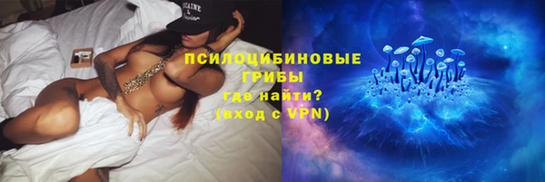 прущие грибы Алексин