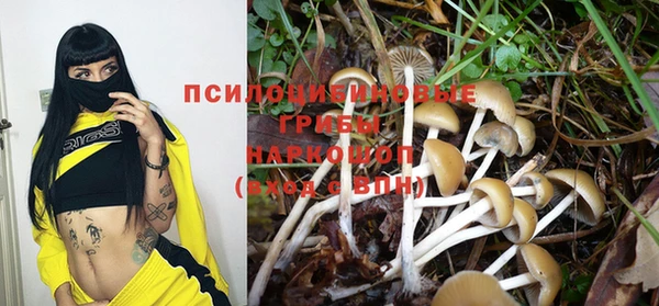 твердый Алзамай