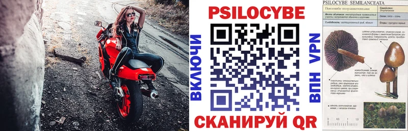 Галлюциногенные грибы Psilocybe  Мураши 