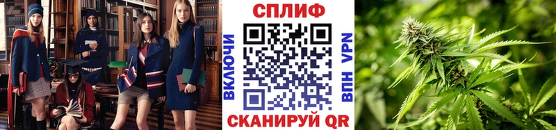 Шишки марихуана VHQ  Мураши 